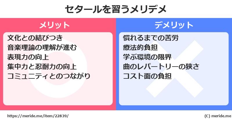 セタールを習うメリットとデメリットは？ [楽器]  メリデメ