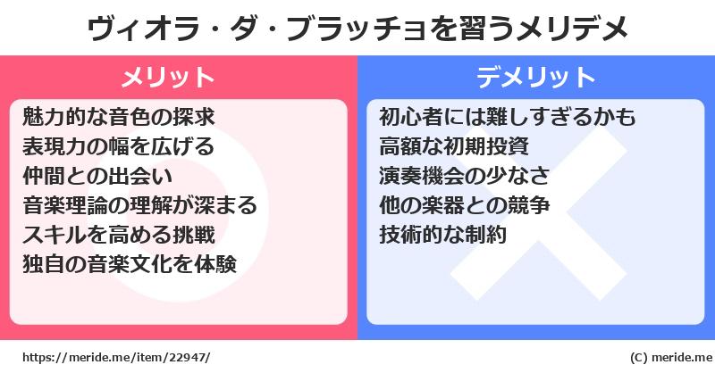ヴィオラ・ダ・ブラッチョを習うメリットとデメリットは？ [楽器]  メリデメ