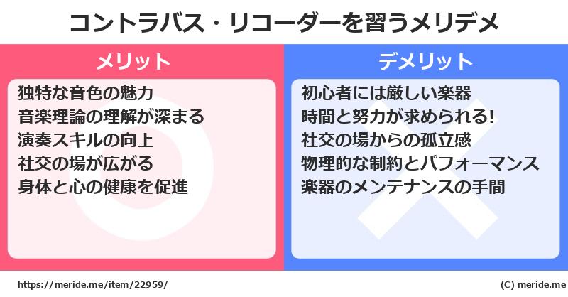 コントラバス・リコーダーを習うメリットとデメリットは？ [楽器]  メリデメ