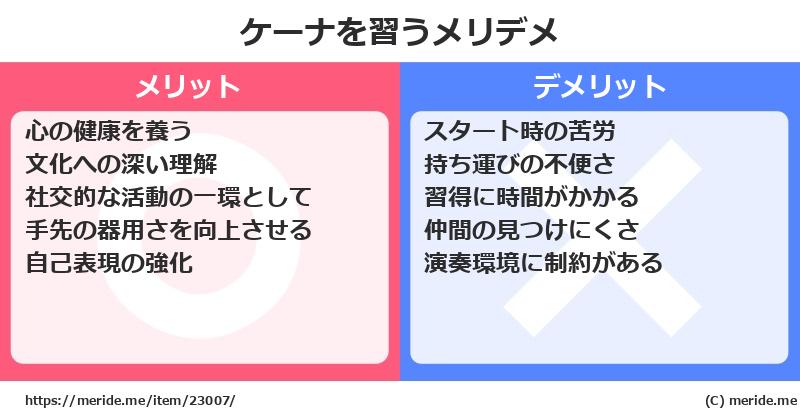 ケーナを習うメリットとデメリットは？ [楽器]  メリデメ