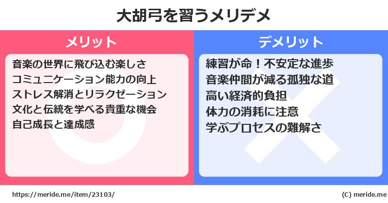 大胡弓を習うメリットとデメリットは？ [楽器]  メリデメ
