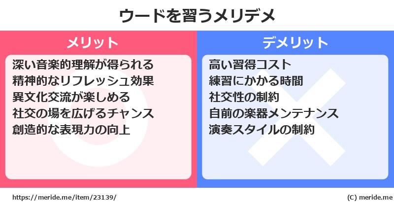 ウードを習うメリットとデメリットは？ [楽器]  メリデメ