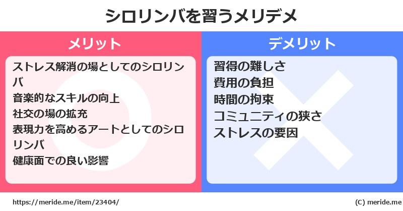 シロリンバを習うメリットとデメリットは？ [楽器]  メリデメ