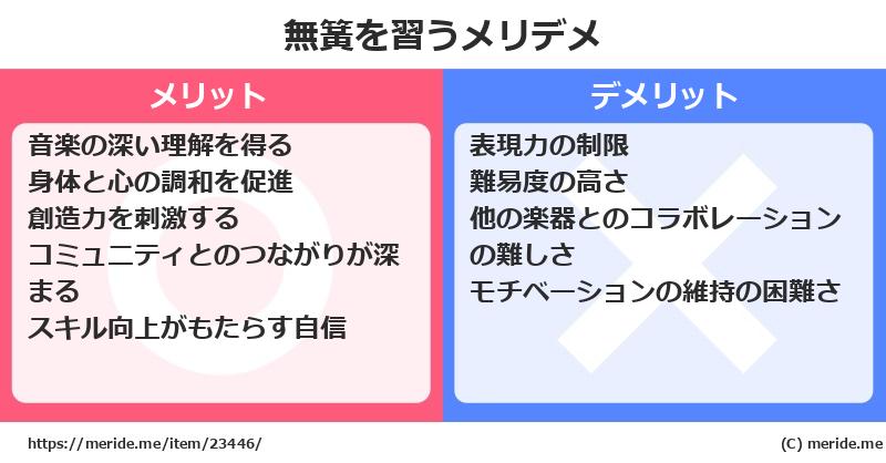 無簧を習うメリットとデメリットは？ [楽器]  メリデメ