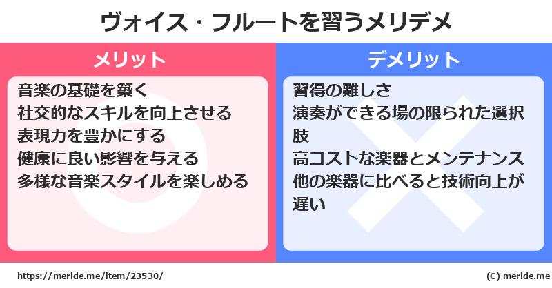 ヴォイス・フルートを習うメリットとデメリットは？ [楽器]  メリデメ