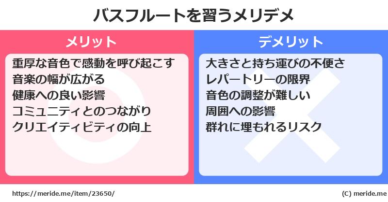 バスフルートを習うメリットとデメリットは？ [楽器]  メリデメ