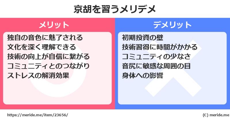 京胡を習うメリットとデメリットは？ [楽器]  メリデメ