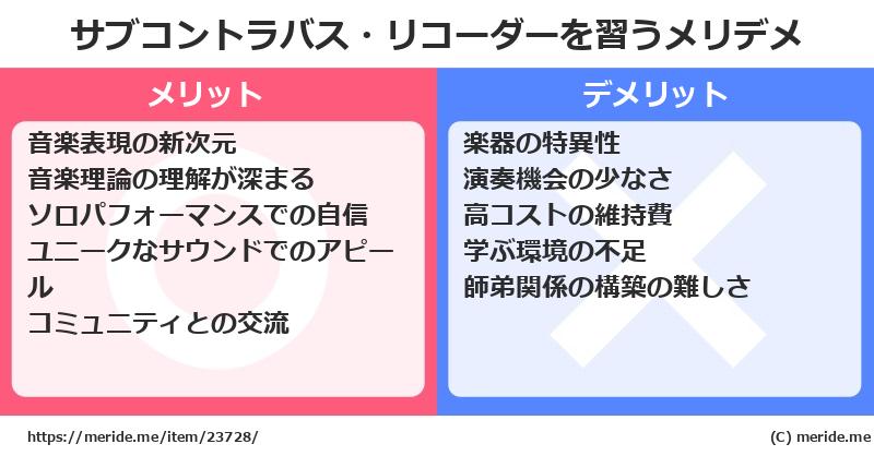 サブコントラバス・リコーダーを習うメリットとデメリットは？ [楽器]  メリデメ