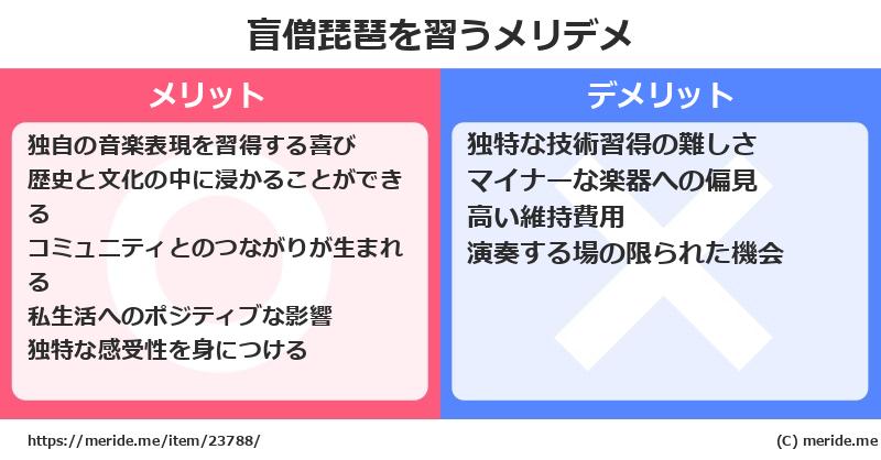 盲僧琵琶を習うメリットとデメリットは？ [楽器]  メリデメ