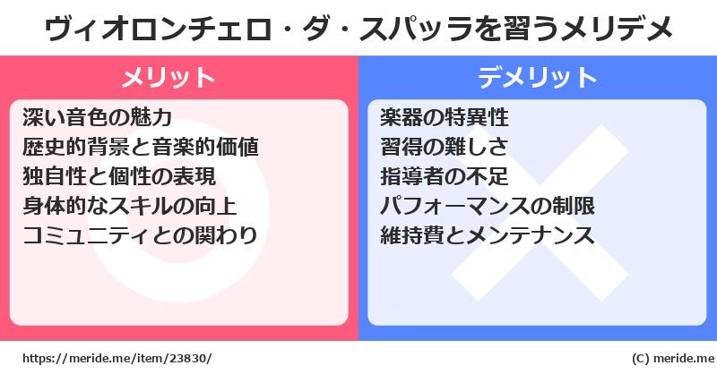 ヴィオロンチェロ・ダ・スパッラを習うメリットとデメリットは？ [楽器]  メリデメ