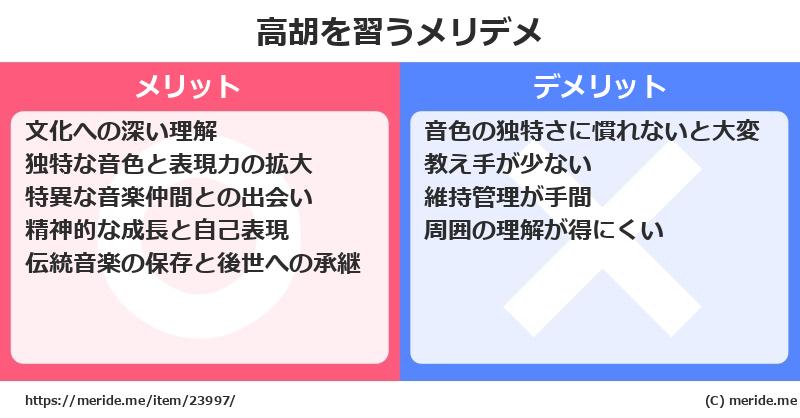 高胡を習うメリットとデメリットは？ [楽器]  メリデメ