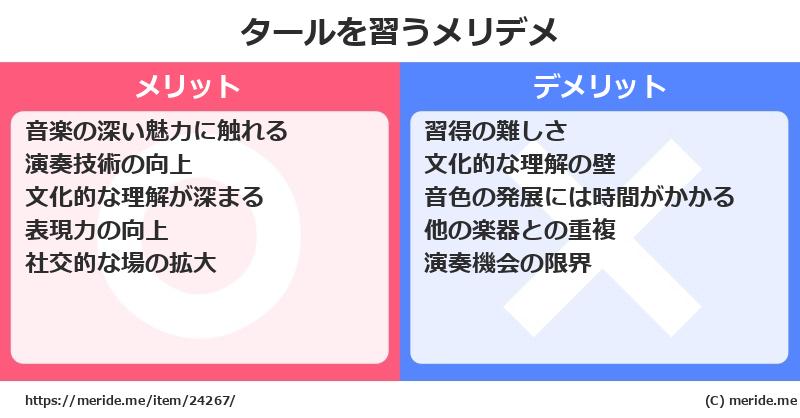 タールを習うメリットとデメリットは？ [楽器]  メリデメ