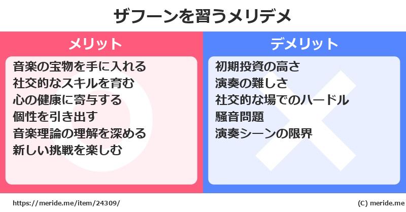 ザフーンを習うメリットとデメリットは？ [楽器]  メリデメ