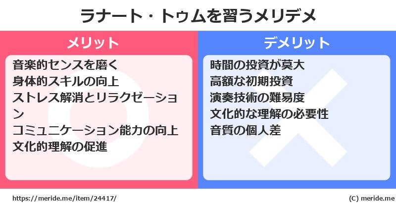 ラナート・トゥムを習うメリットとデメリットは？ [楽器]  メリデメ