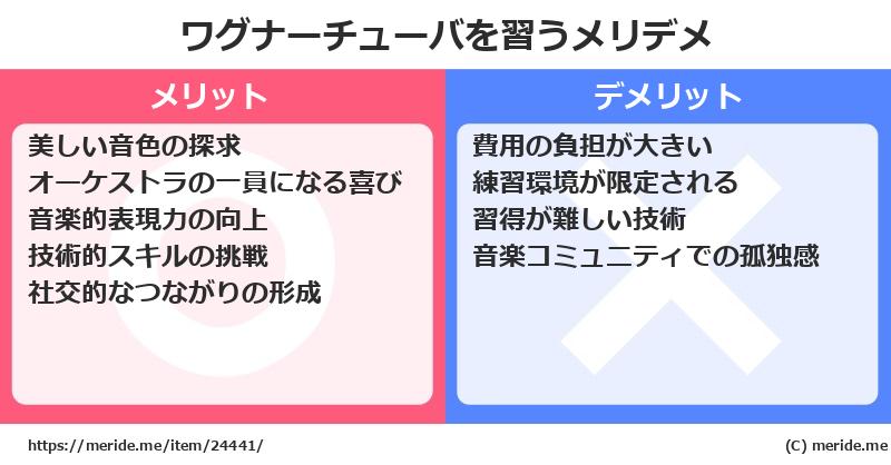 ワグナーチューバを習うメリットとデメリットは？ [楽器]  メリデメ