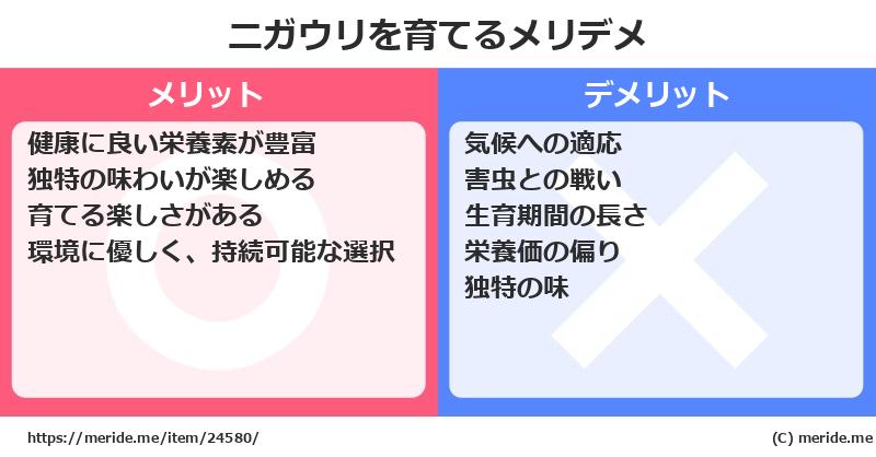 ニガウリを育てるメリットとデメリットは？ [栽培]  メリデメ