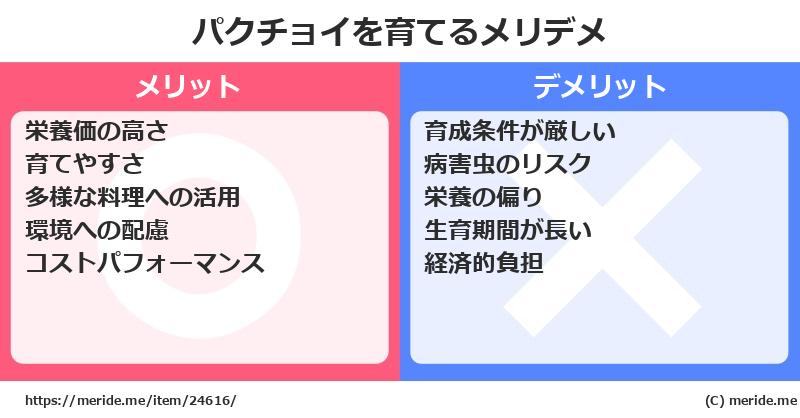 パクチョイを育てるメリットとデメリットは？ [栽培]  メリデメ