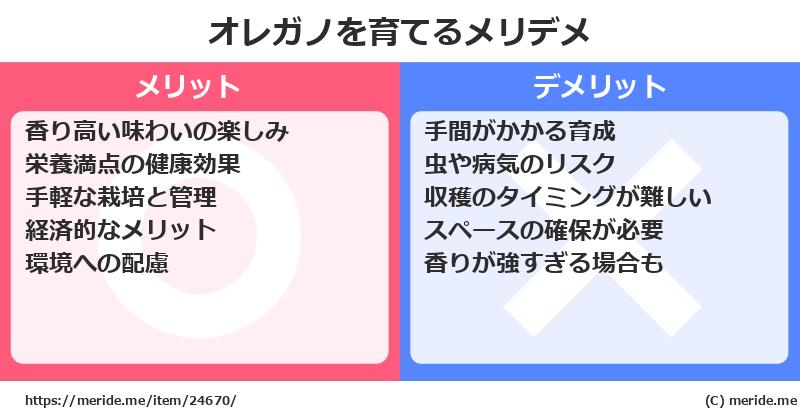 オレガノを育てるメリットとデメリットは？ [栽培]  メリデメ
