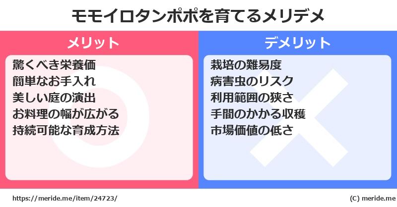 モモイロタンポポを育てるメリットとデメリットは？ [栽培]  メリデメ