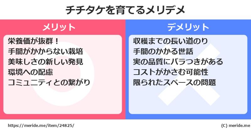 チチタケを育てるメリットとデメリットは？ [栽培]  メリデメ