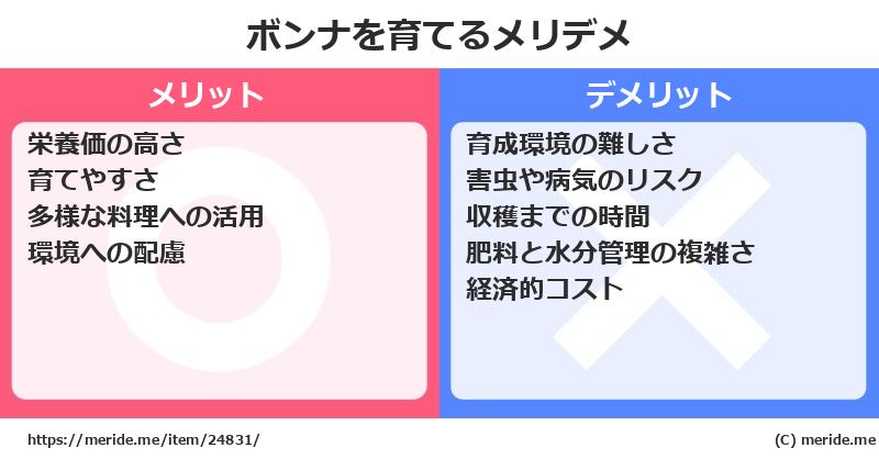 ボンナを育てるメリットとデメリットは？ [栽培]  メリデメ
