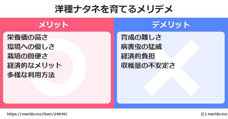 洋種ナタネを育てるメリットとデメリットは？ [栽培]  メリデメ