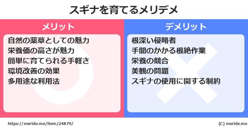 スギナを育てるメリットとデメリットは？ [栽培]  メリデメ