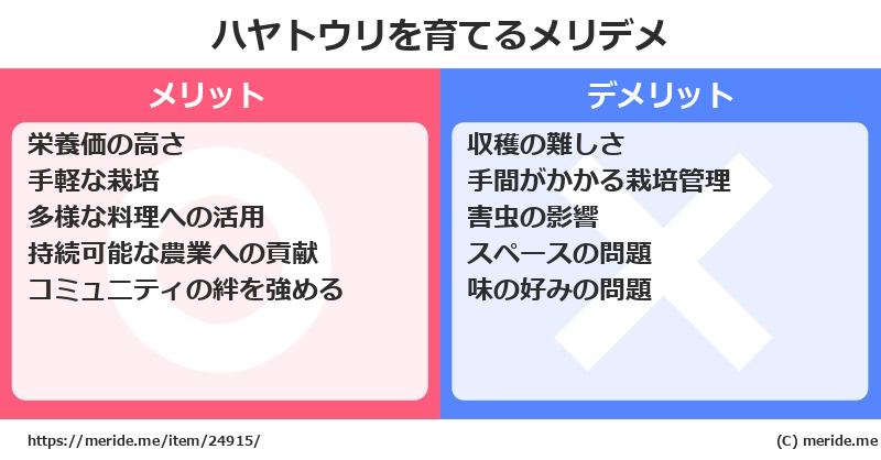 ハヤトウリを育てるメリットとデメリットは？ [栽培]  メリデメ
