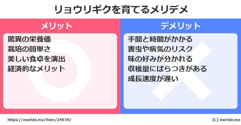 リョウリギクを育てるメリットとデメリットは？ [栽培]  メリデメ