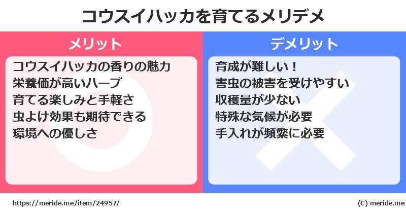 コウスイハッカを育てるメリットとデメリットは？ [栽培]  メリデメ