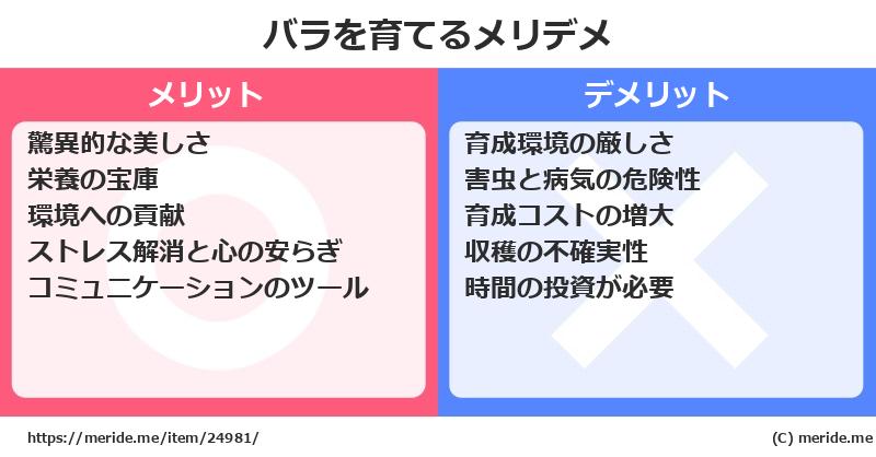 バラを育てるメリットとデメリットは？ [栽培]  メリデメ