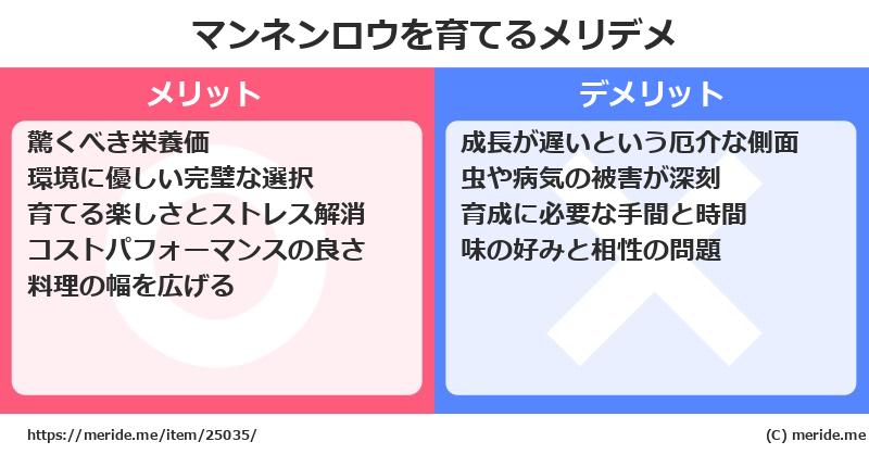マンネンロウを育てるメリットとデメリットは？ [栽培]  メリデメ