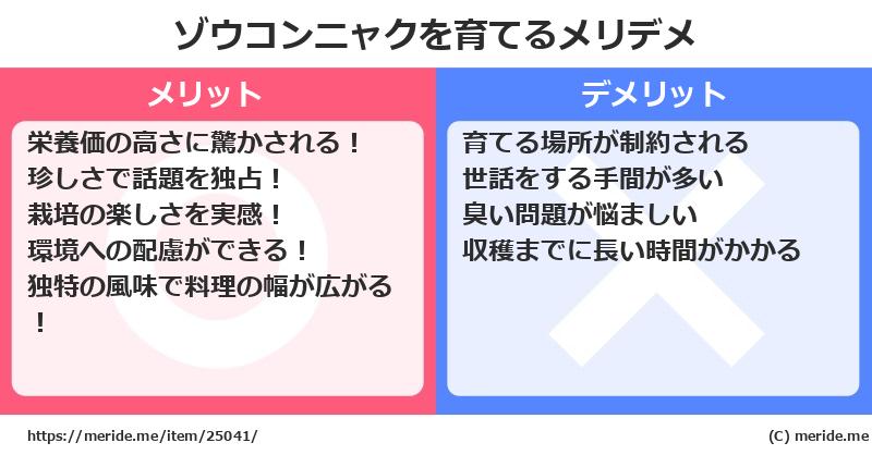 ゾウコンニャクを育てるメリットとデメリットは？ [栽培]  メリデメ
