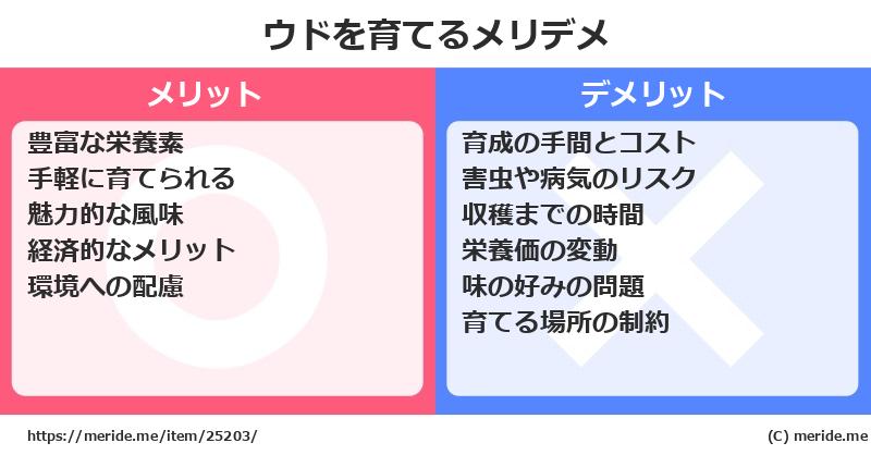 ウドを育てるメリットとデメリットは？ [栽培]  メリデメ