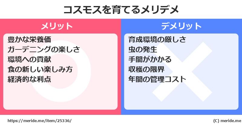 コスモスを育てるメリットとデメリットは？ [栽培]  メリデメ