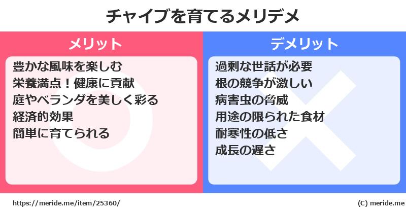 チャイブを育てるメリットとデメリットは？ [栽培]  メリデメ