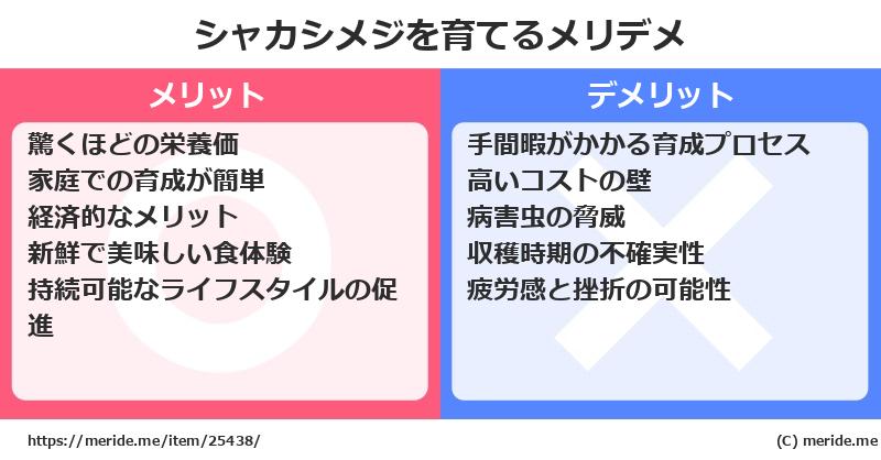 シャカシメジを育てるメリットとデメリットは？ [栽培]  メリデメ
