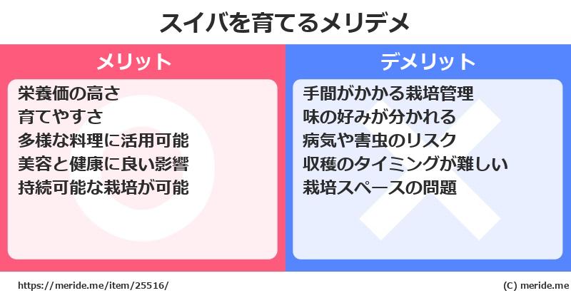 スイバを育てるメリットとデメリットは？ [栽培]  メリデメ