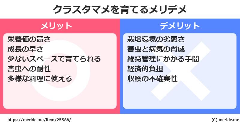 クラスタマメを育てるメリットとデメリットは？ [栽培]  メリデメ