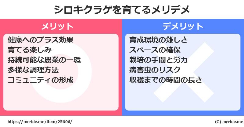 シロキクラゲを育てるメリットとデメリットは？ [栽培]  メリデメ