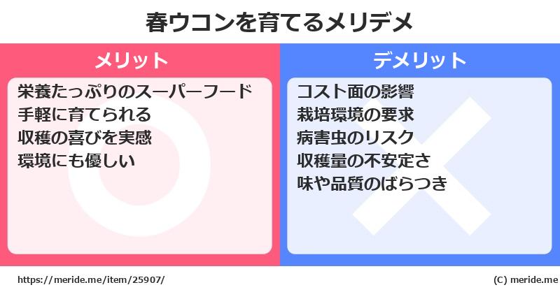 春ウコンを育てるメリットとデメリットは？ [栽培]  メリデメ