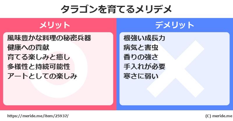 タラゴンを育てるメリットとデメリットは？ [栽培]  メリデメ