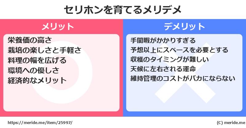 セリホンを育てるメリットとデメリットは？ [栽培]  メリデメ