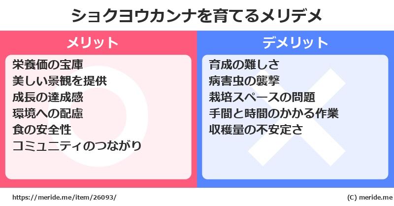 ショクヨウカンナを育てるメリットとデメリットは？ [栽培]  メリデメ