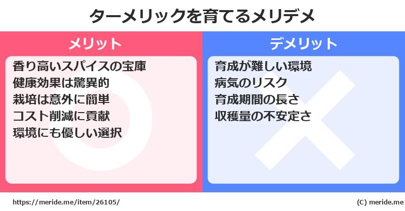 ターメリックを育てるメリットとデメリットは？ [栽培]  メリデメ