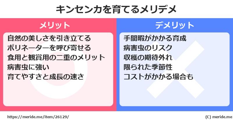 キンセンカを育てるメリットとデメリットは？ [栽培]  メリデメ
