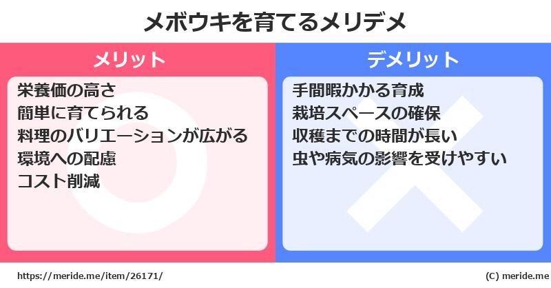 メボウキを育てるメリットとデメリットは？ [栽培]  メリデメ