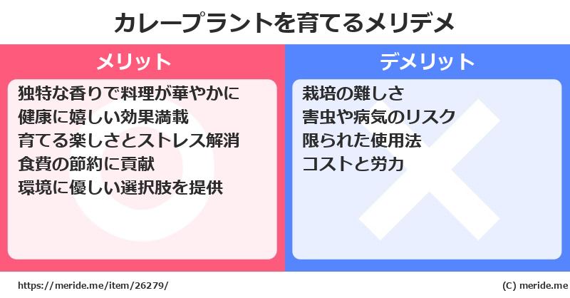 カレープラントを育てるメリットとデメリットは？ [栽培]  メリデメ
