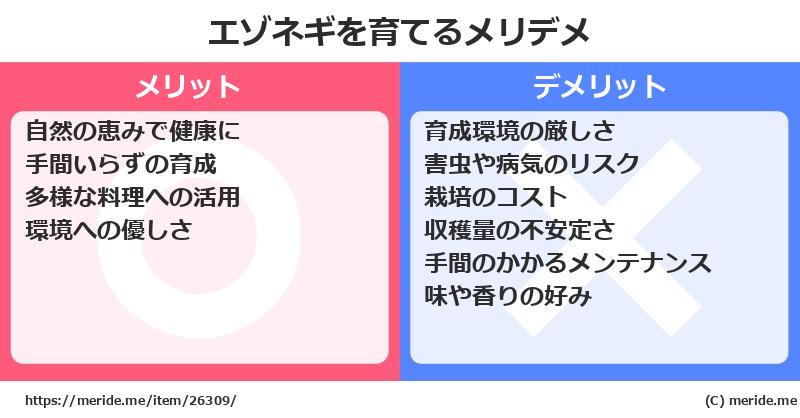 エゾネギを育てるメリットとデメリットは？ [栽培]  メリデメ