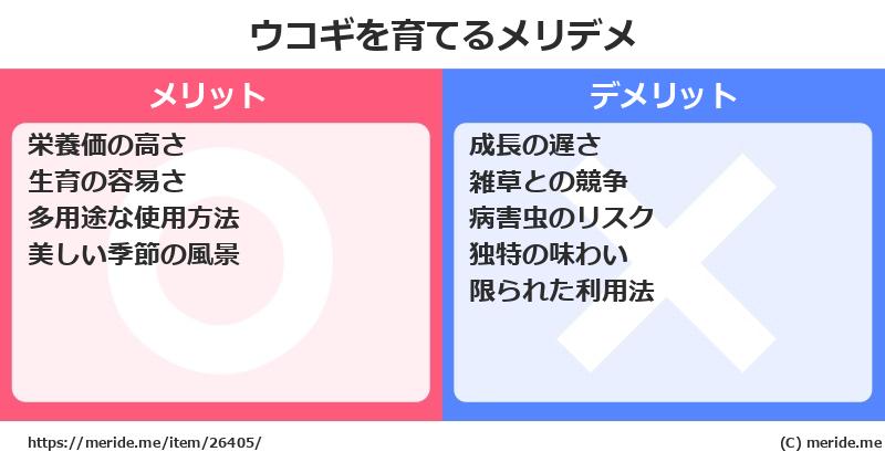 ウコギを育てるメリットとデメリットは？ [栽培]  メリデメ